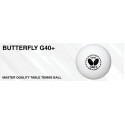 Bola de Tênis de Mesa Butterfly Plastic G40+ Dúzia
